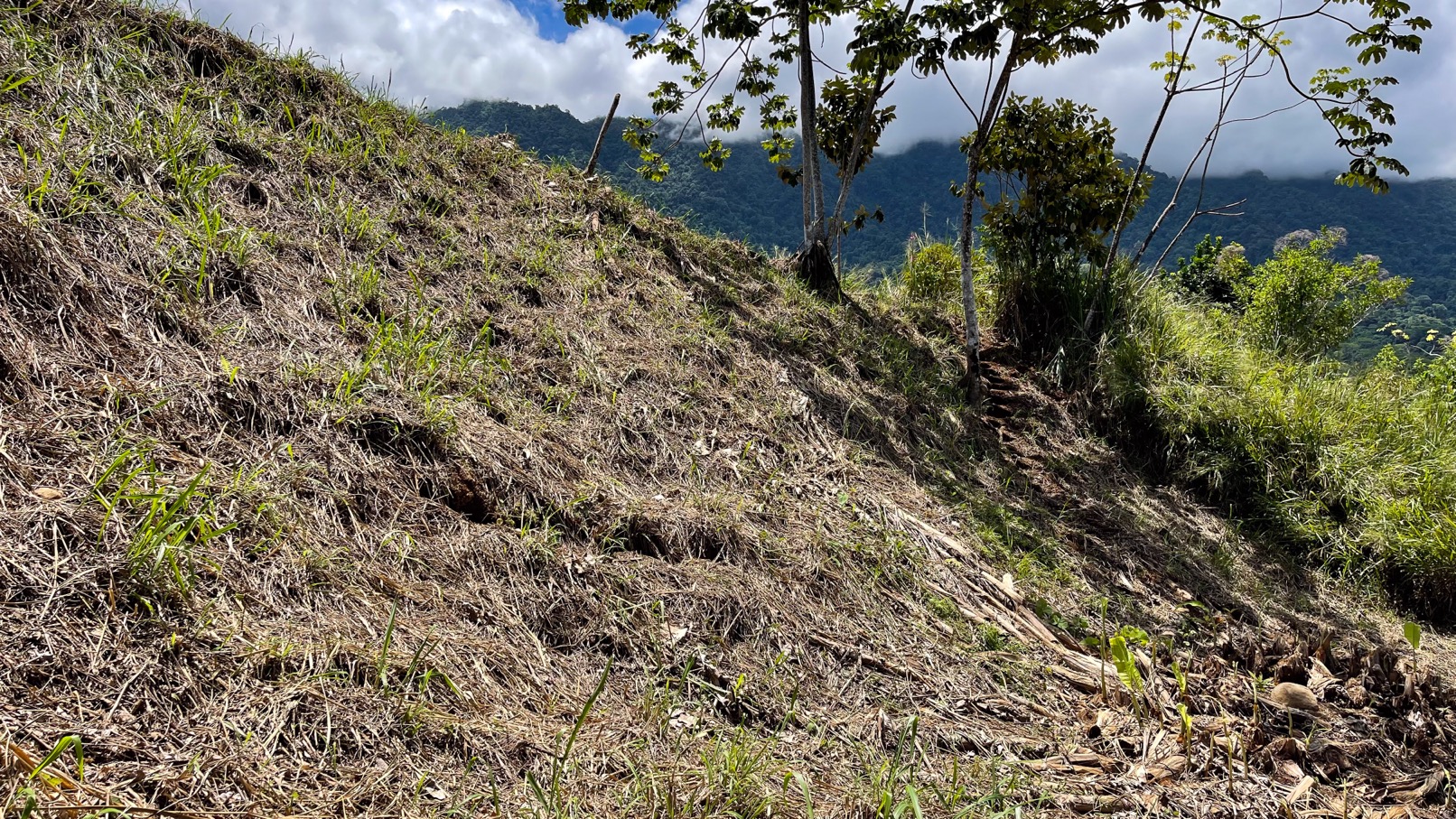 0 bed Land For Sale in Ojochal, Puntarenas - thumb 17