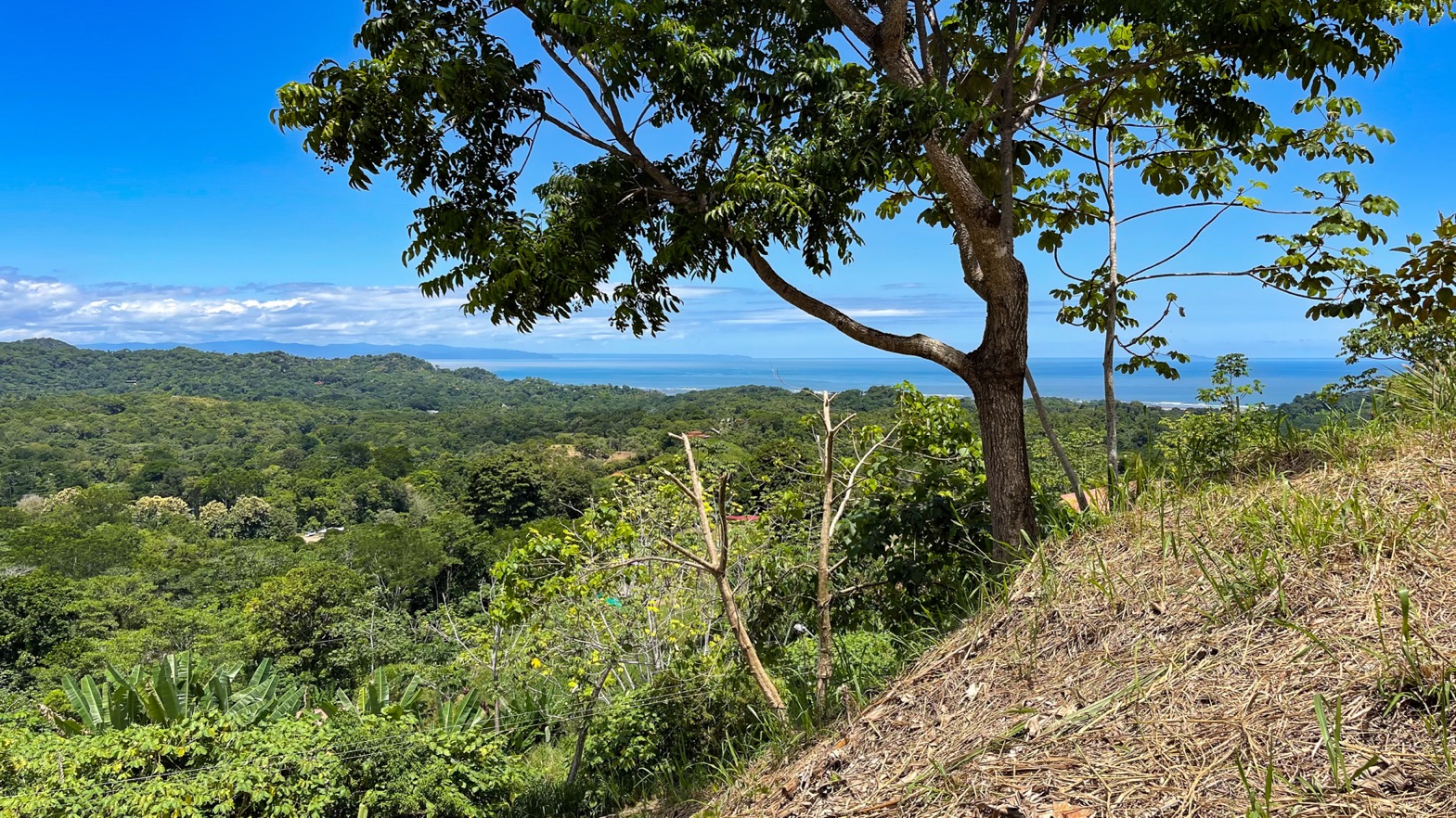 0 bed Land For Sale in Ojochal, Puntarenas - thumb 5