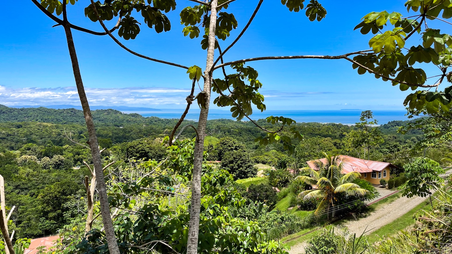 0 bed Land For Sale in Ojochal, Puntarenas - thumb 1