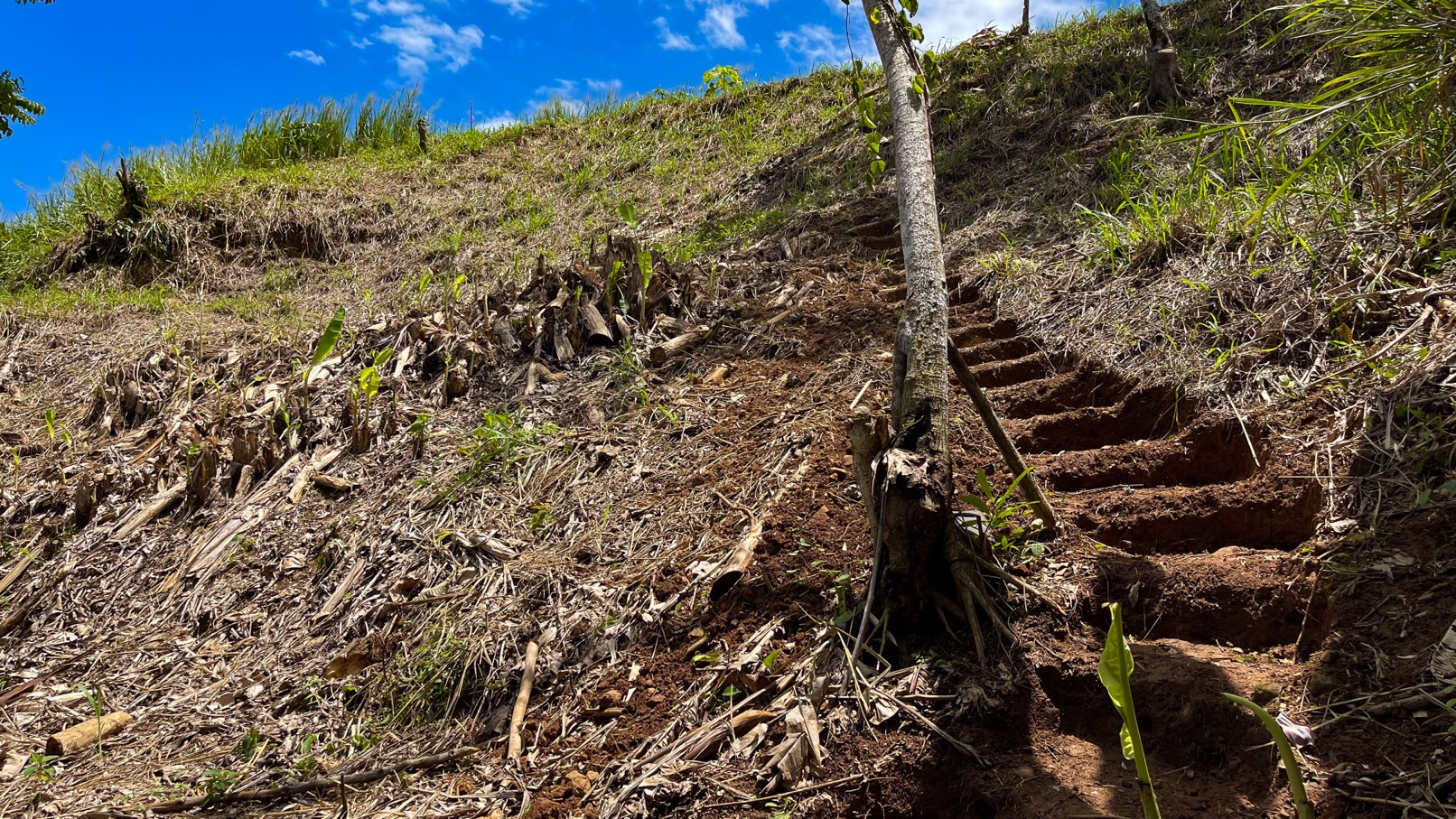 0 bed Land For Sale in Ojochal, Puntarenas - thumb 14