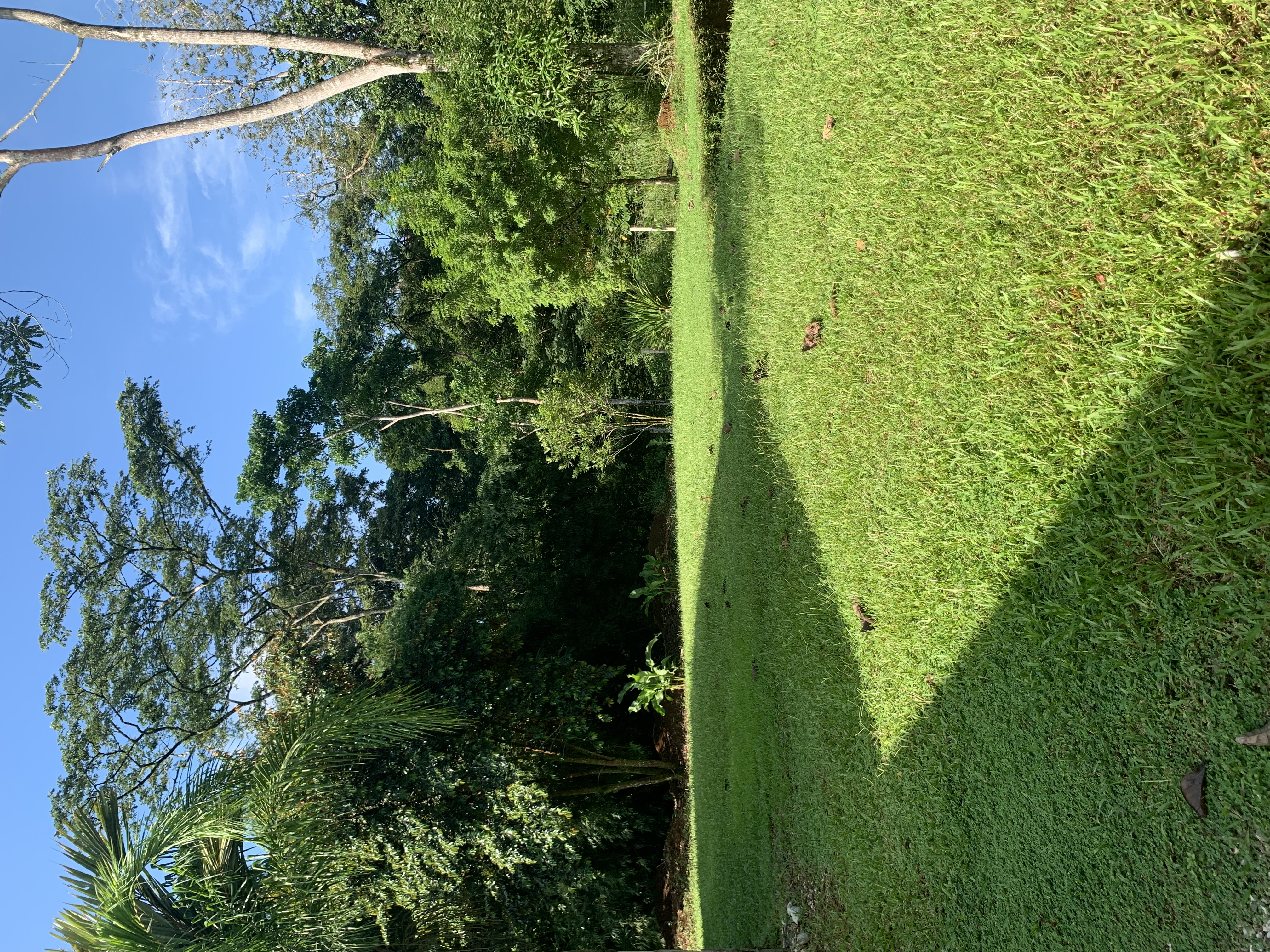 6 bed Single Family Homes For Sale in La Fortuna, Alajuela - thumb 14