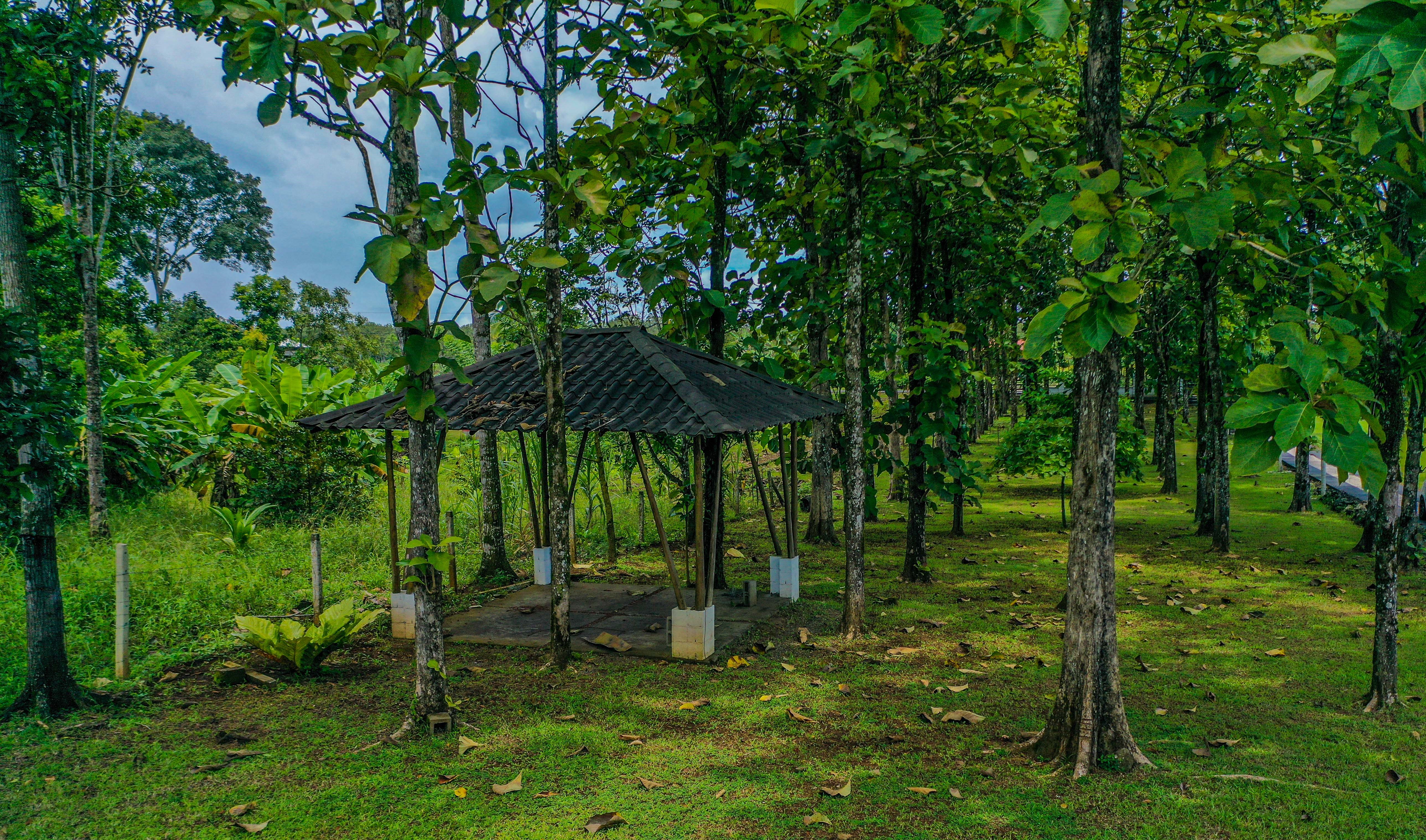 6 bed Single Family Homes For Sale in La Fortuna, Alajuela - thumb 27