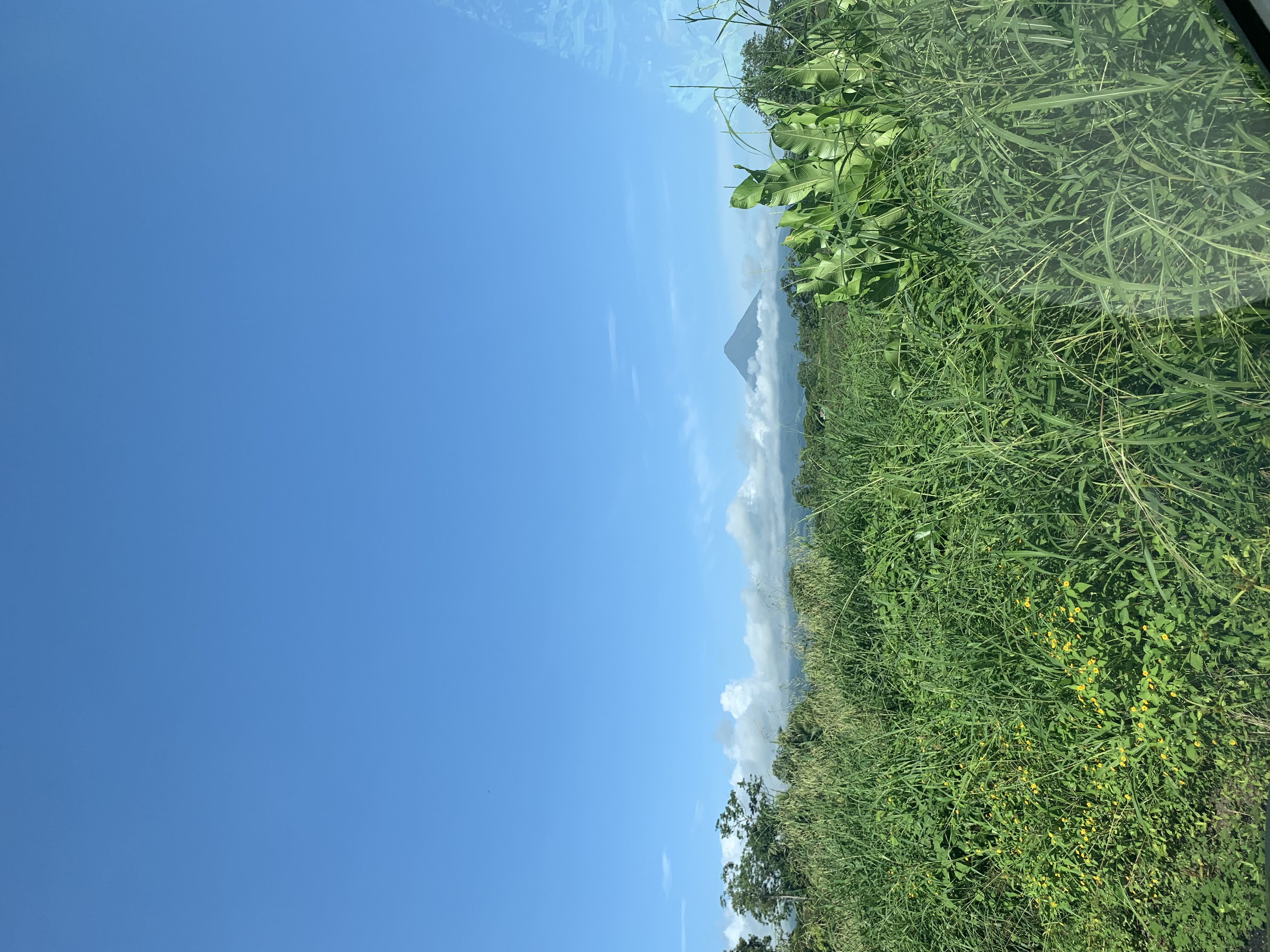 6 bed Single Family Homes For Sale in La Fortuna, Alajuela - thumb 21