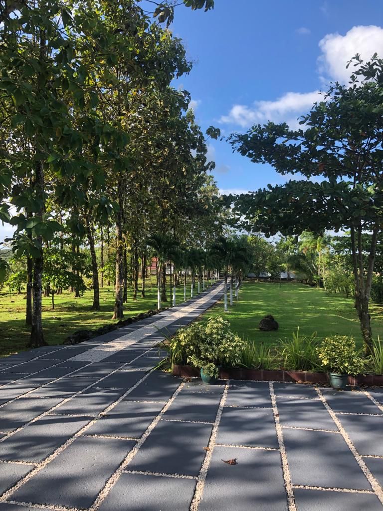 6 bed Single Family Homes For Sale in La Fortuna, Alajuela - thumb 22