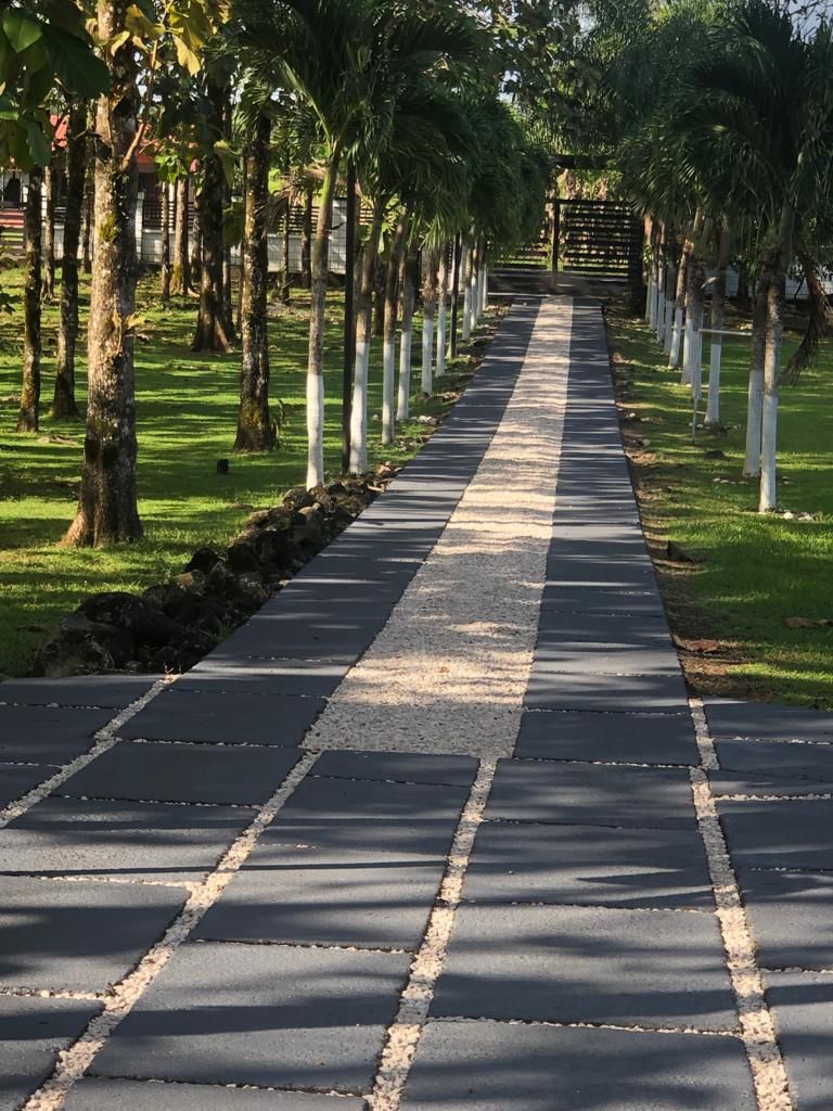 6 bed Single Family Homes For Sale in La Fortuna, Alajuela - thumb 3