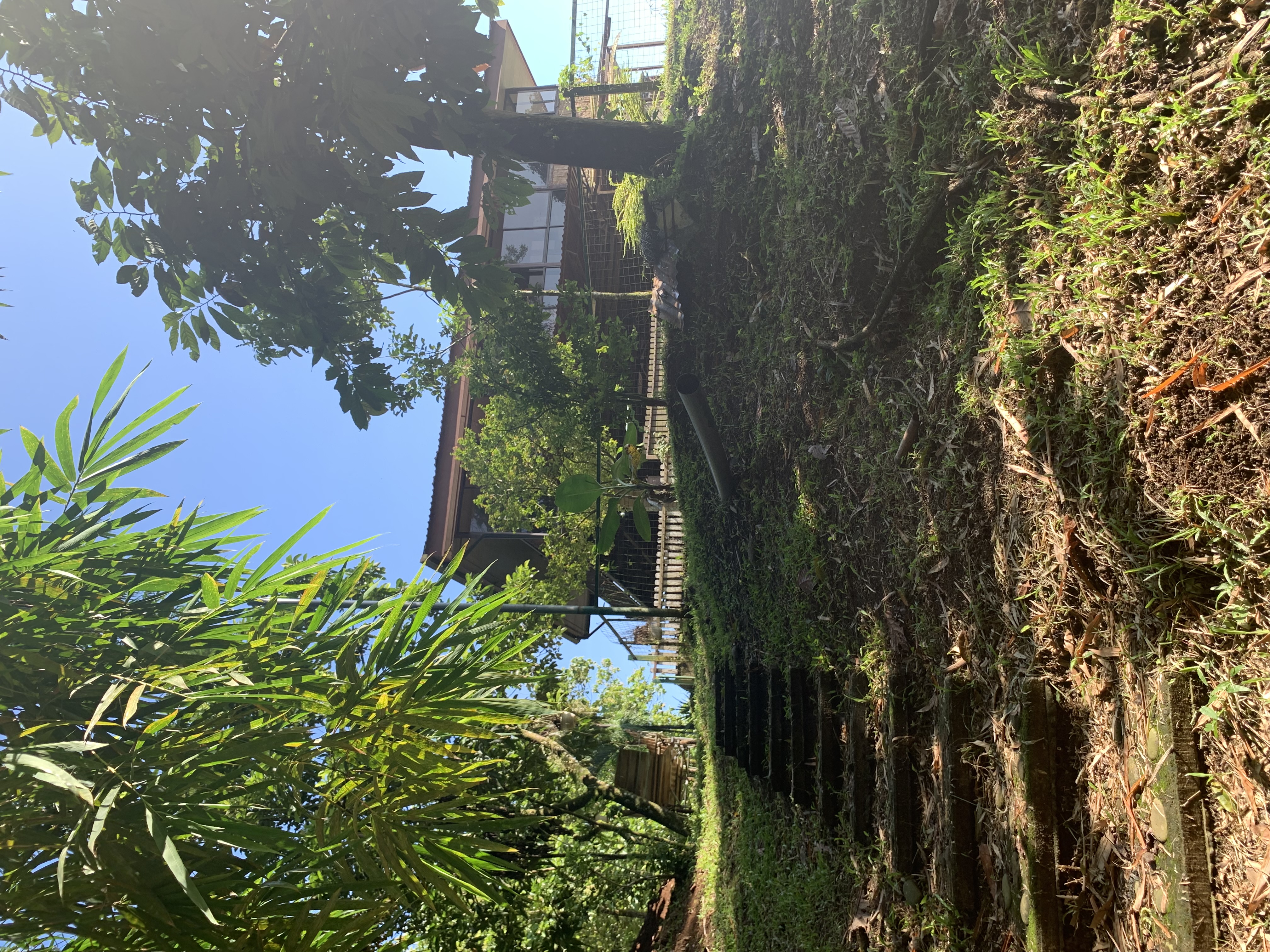 6 bed Single Family Homes For Sale in La Fortuna, Alajuela - thumb 5