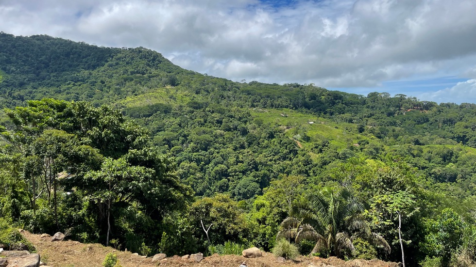 0 bed Land For Sale in Uvita, Puntarenas - thumb 8