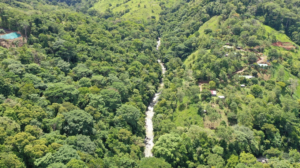 0 bed Land For Sale in Uvita, Puntarenas - thumb 7