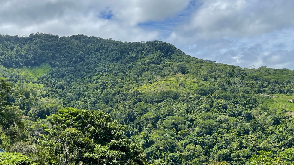 0 bed Land For Sale in Uvita, Puntarenas - thumb 4