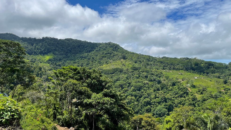 0 bed Land For Sale in Uvita, Puntarenas - thumb 9