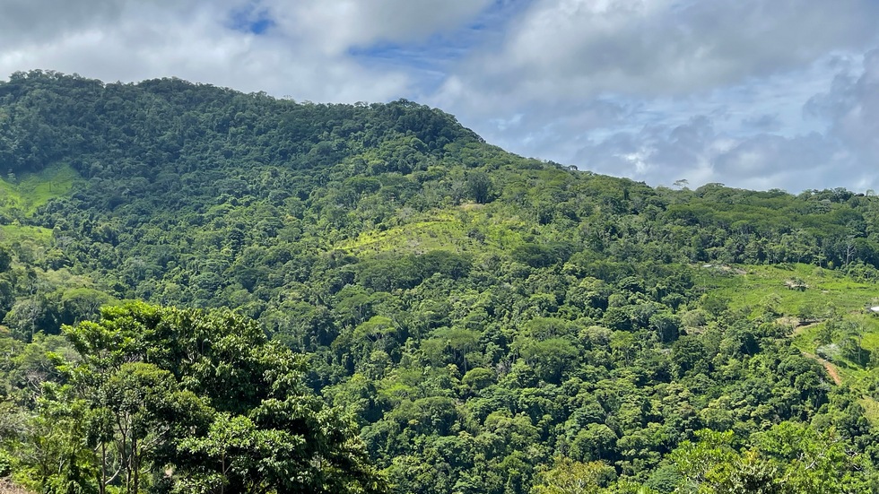 0 bed Land For Sale in Uvita, Puntarenas - thumb 3