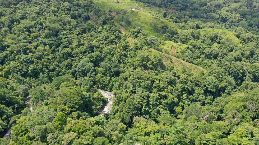 0 bed Land For Sale in Uvita, Puntarenas - thumb 5