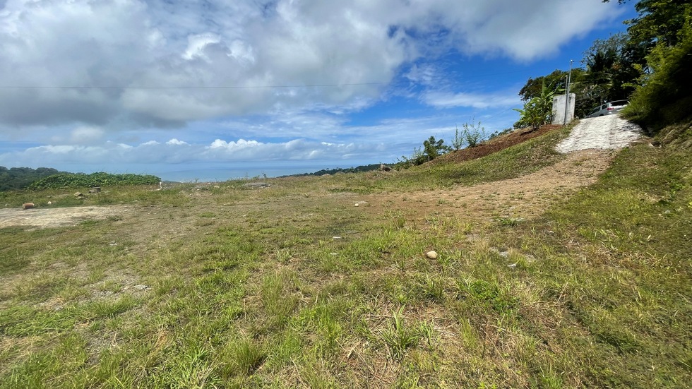 0 bed Land For Sale in Uvita, Puntarenas - thumb 1