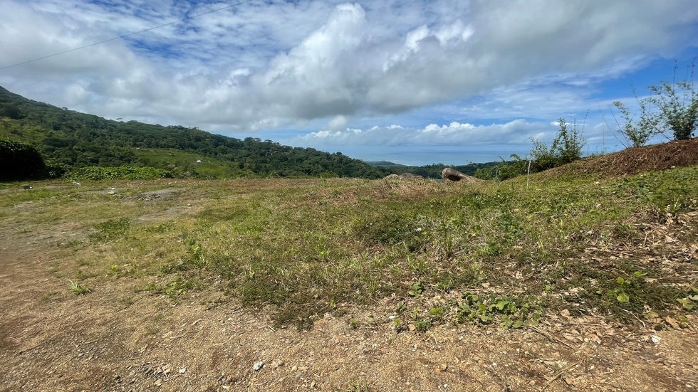 0 bed Land For Sale in Uvita, Puntarenas - thumb 14