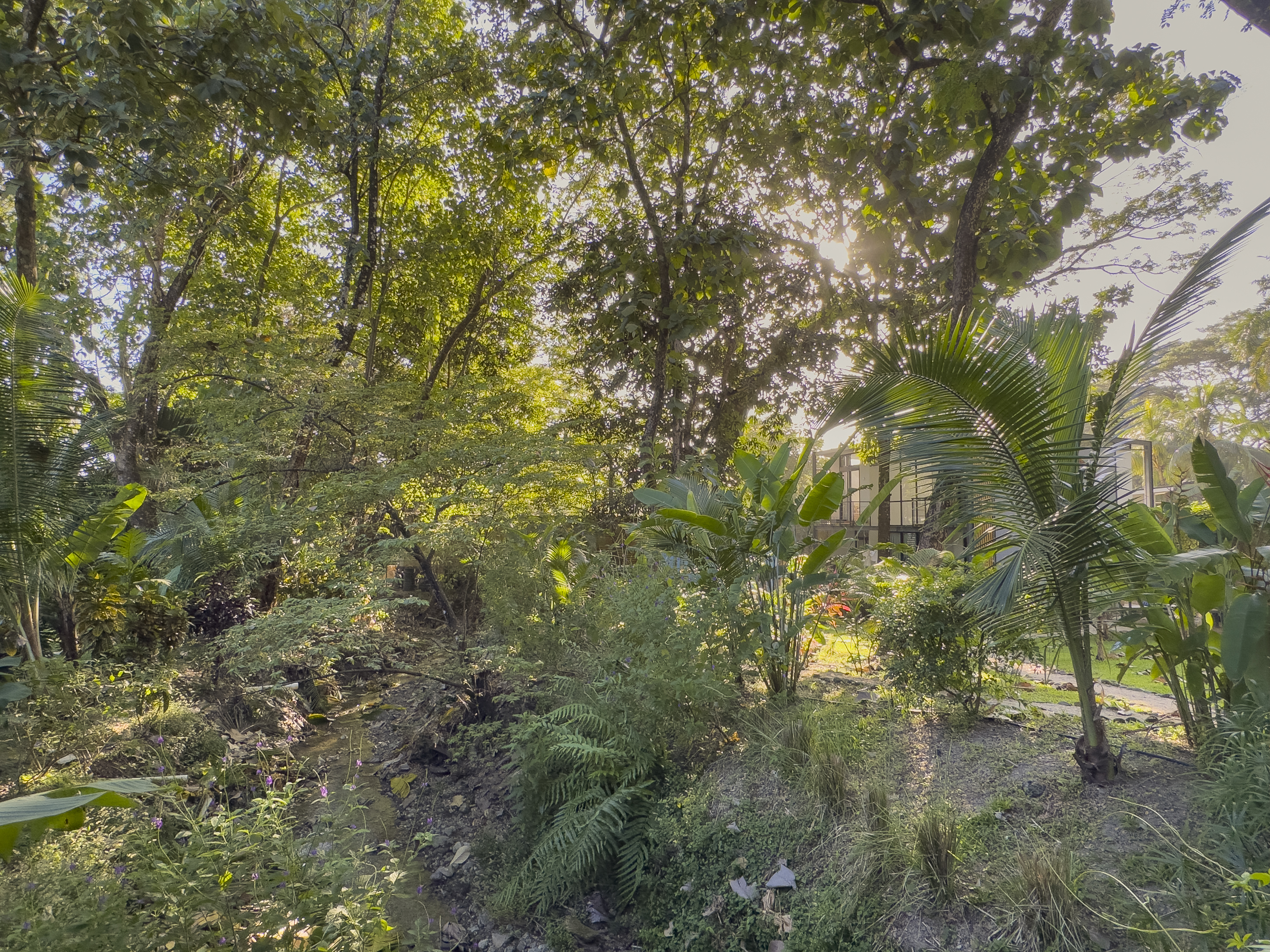 4 bed Condo For Sale in Malpais, Puntarenas - thumb 12