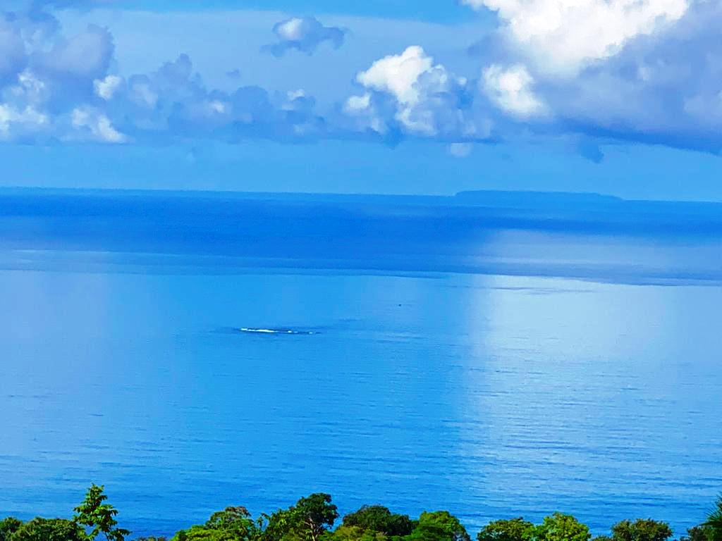 0 bed Land For Sale in Dominical, Puntarenas - thumb 2