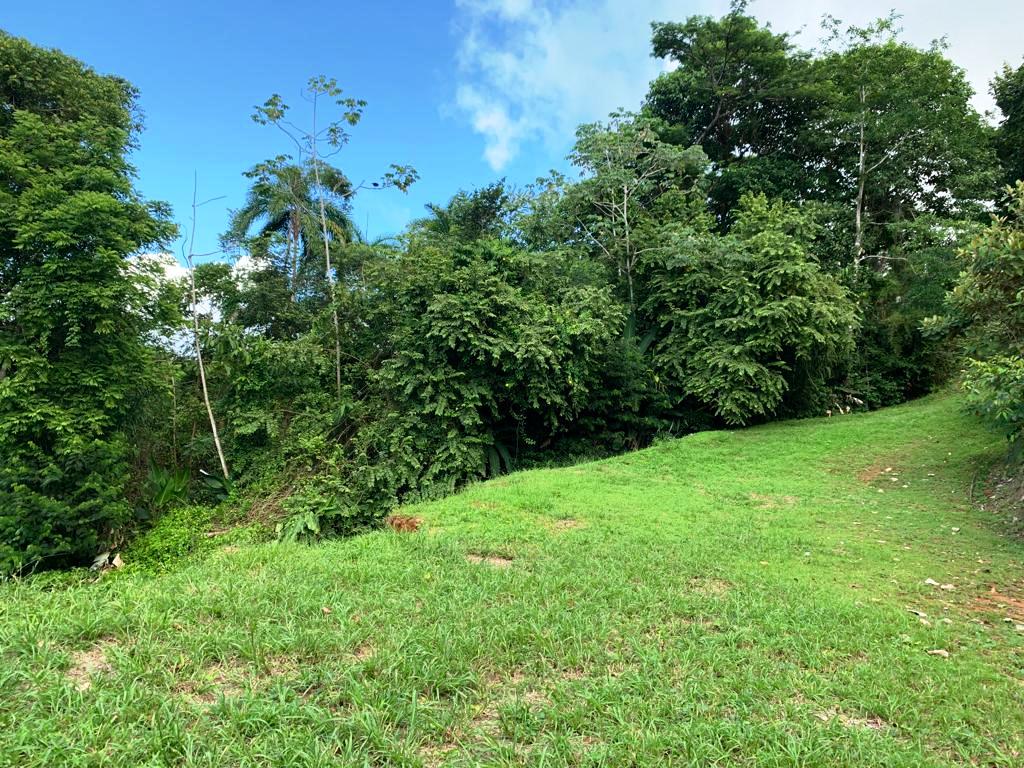 0 bed Land For Sale in Dominical, Puntarenas - thumb 11