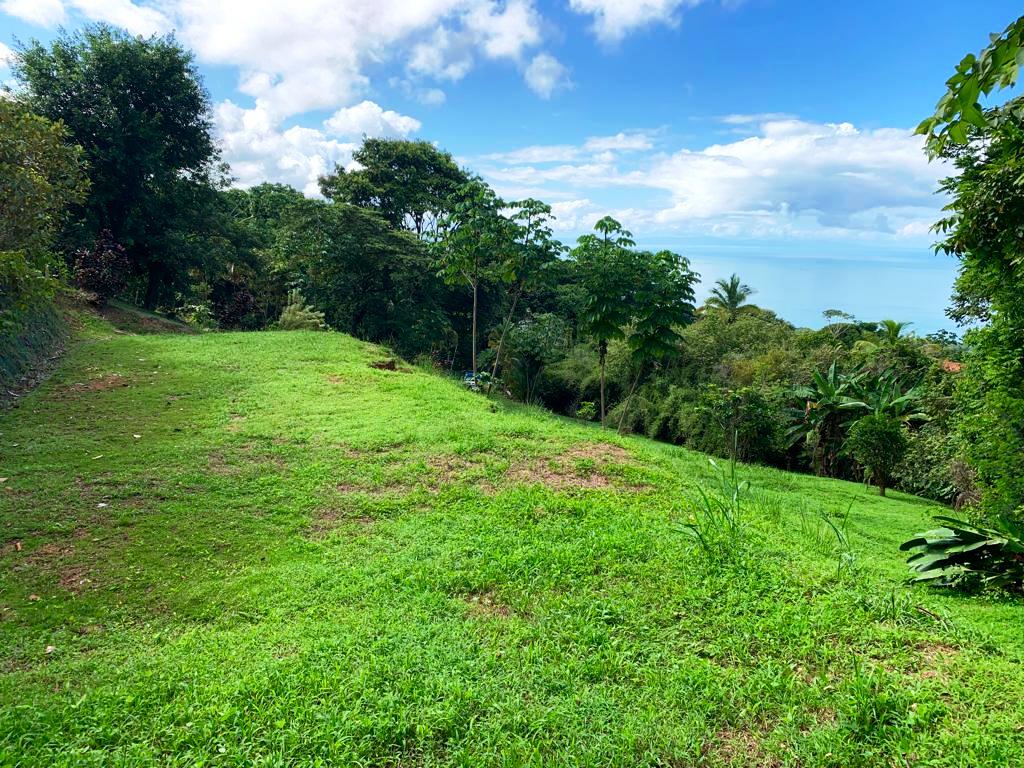 0 bed Land For Sale in Dominical, Puntarenas - thumb 10