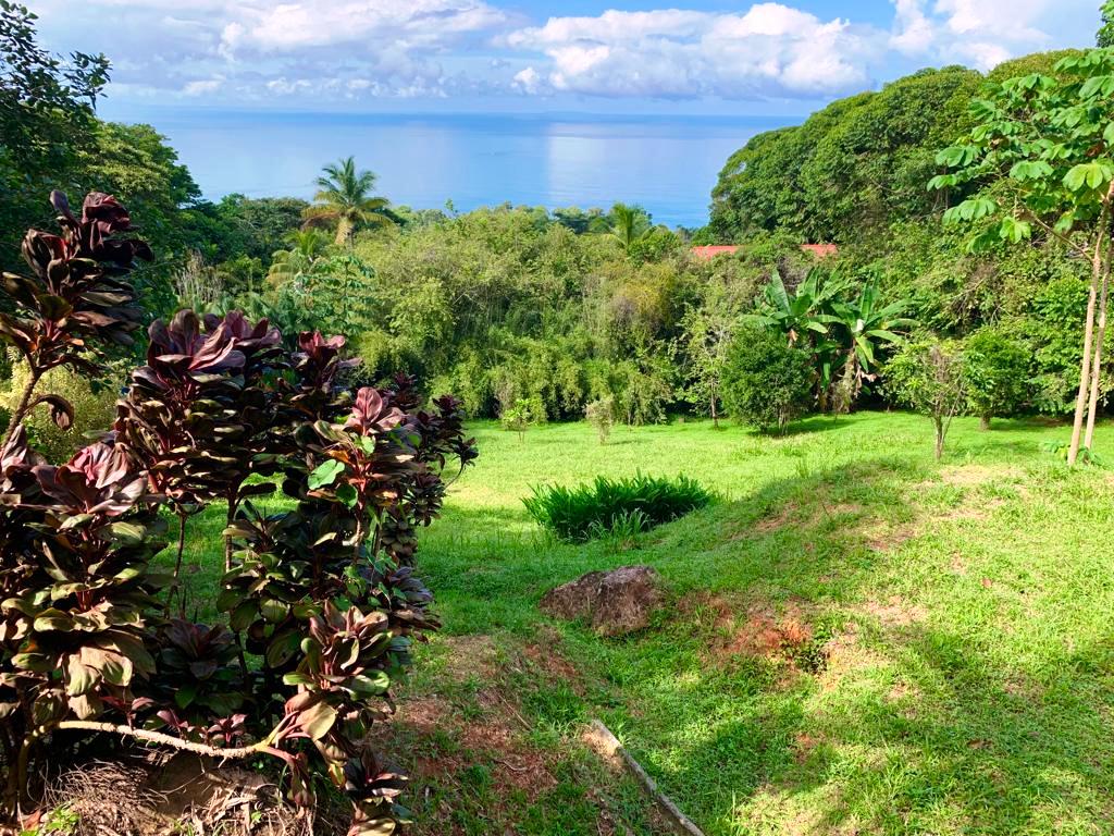 0 bed Land For Sale in Dominical, Puntarenas - thumb 19