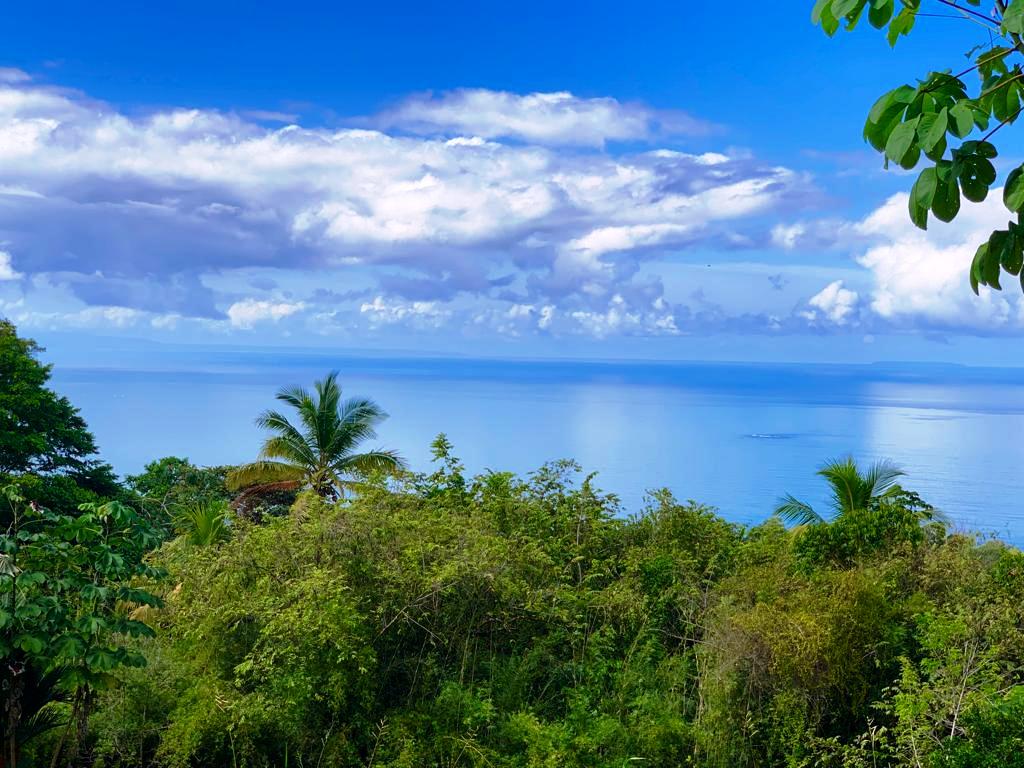 0 bed Land For Sale in Dominical, Puntarenas - thumb 1