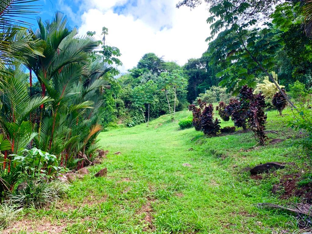 0 bed Land For Sale in Dominical, Puntarenas - thumb 14
