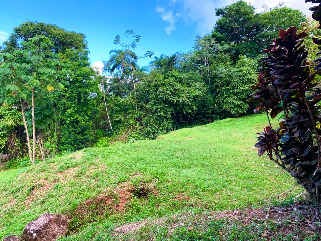 0 bed Land For Sale in Dominical, Puntarenas - thumb 12
