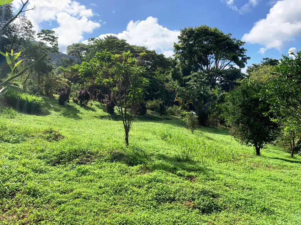 0 bed Land For Sale in Dominical, Puntarenas - thumb 7