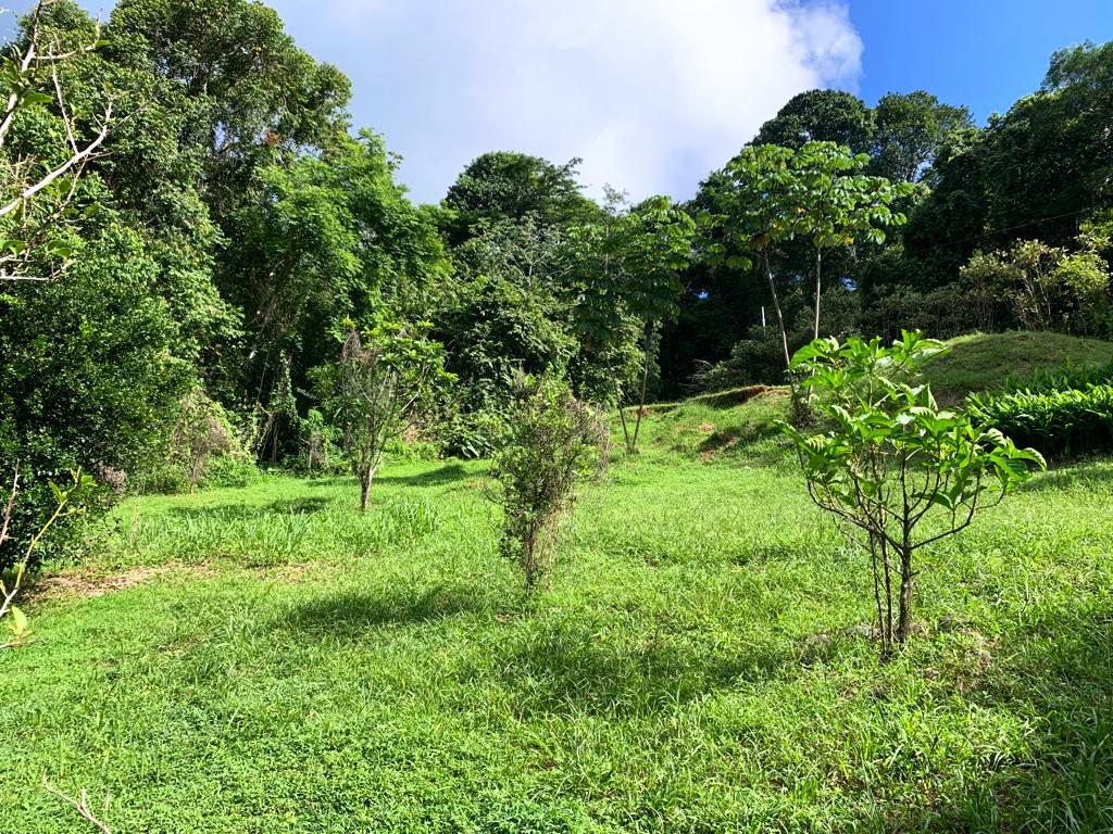 0 bed Land For Sale in Dominical, Puntarenas - thumb 15