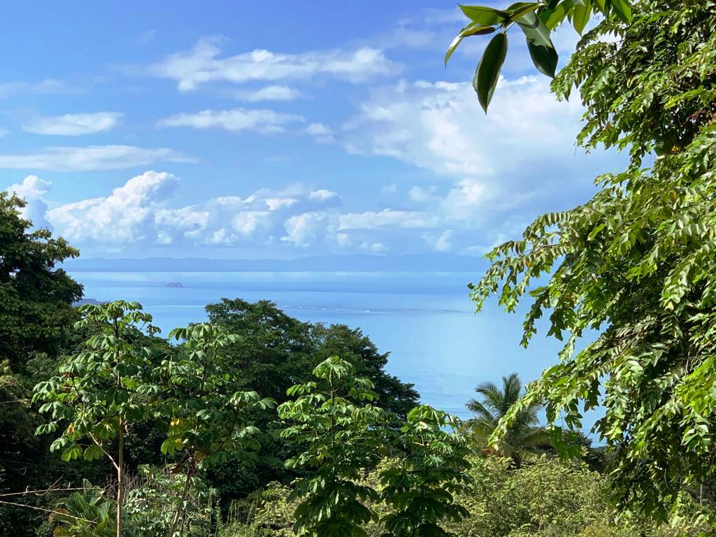 0 bed Land For Sale in Dominical, Puntarenas - thumb 6