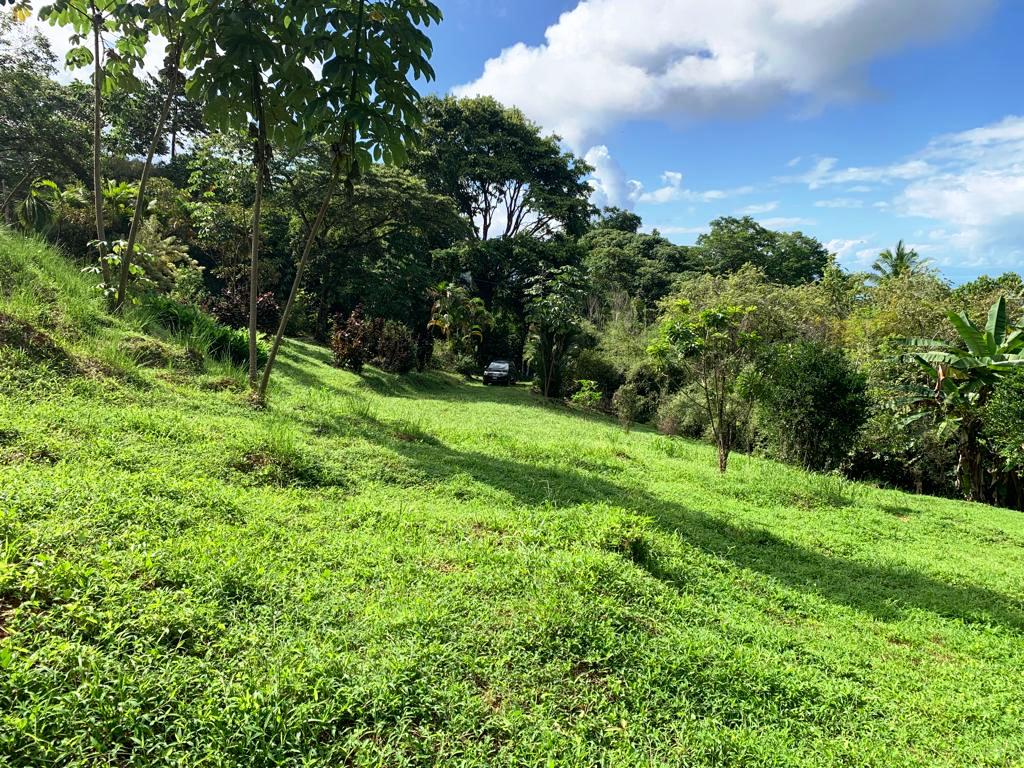 0 bed Land For Sale in Dominical, Puntarenas - thumb 17