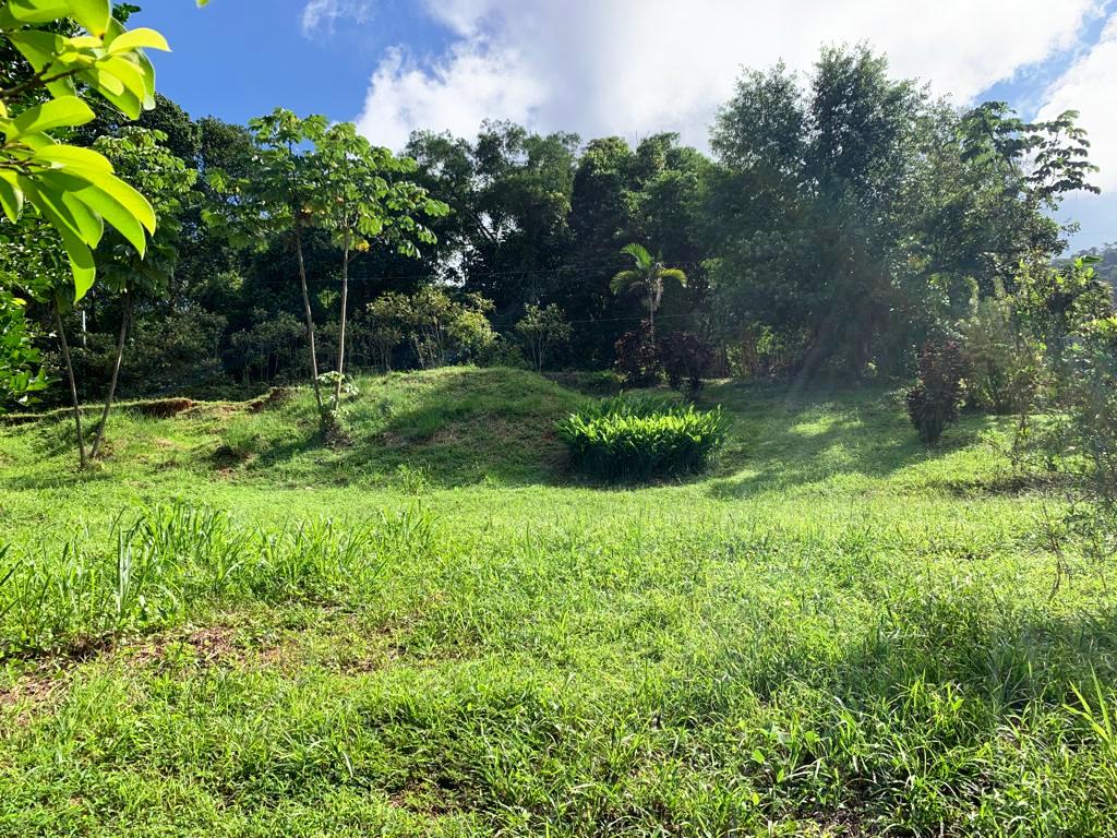 0 bed Land For Sale in Dominical, Puntarenas - thumb 16
