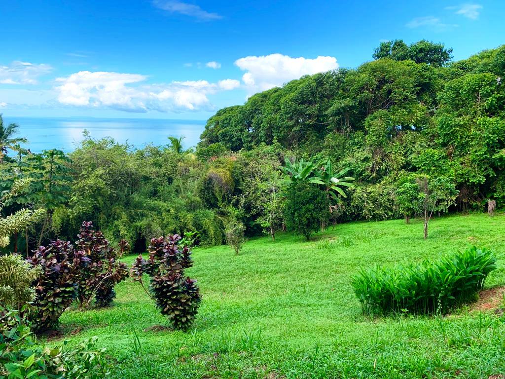0 bed Land For Sale in Dominical, Puntarenas - thumb 13