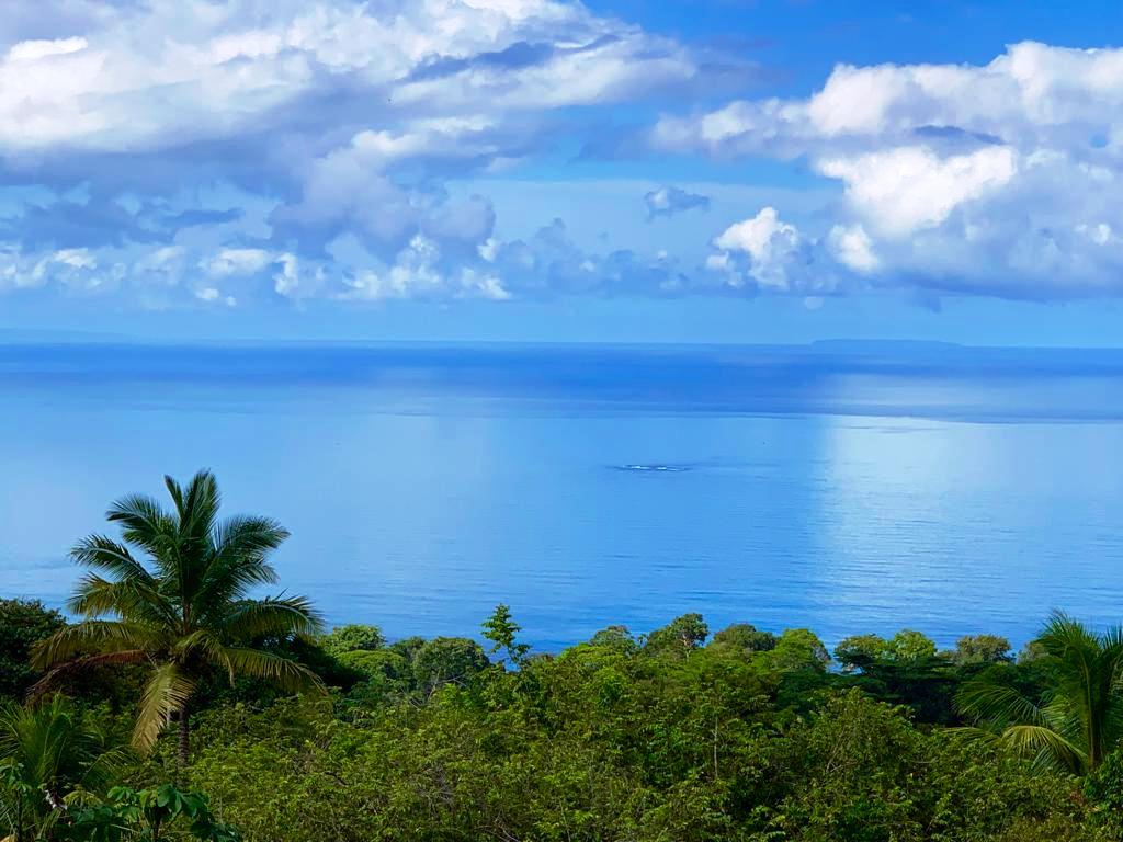 0 bed Land For Sale in Dominical, Puntarenas - thumb 4