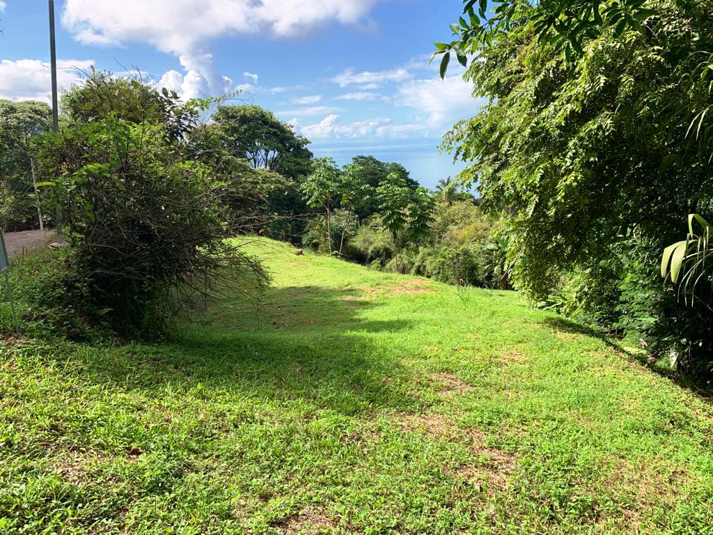 0 bed Land For Sale in Dominical, Puntarenas - thumb 18