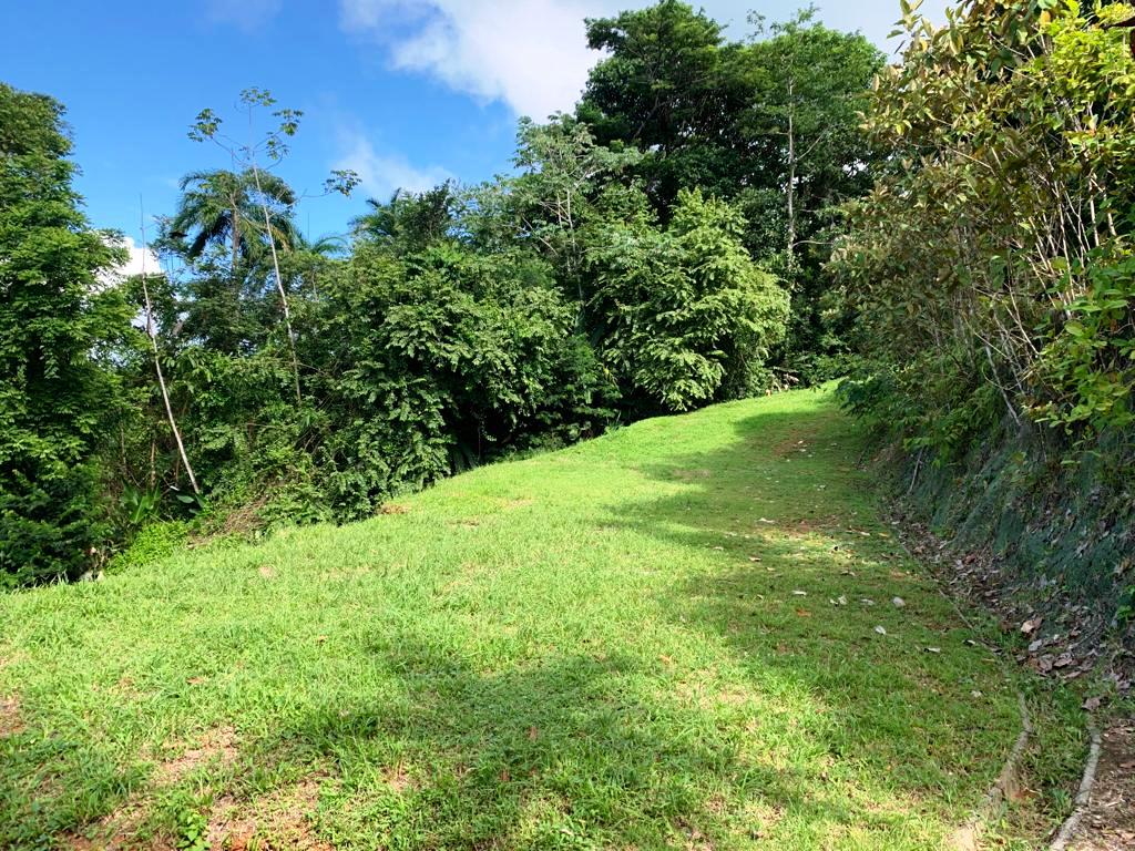 0 bed Land For Sale in Dominical, Puntarenas - thumb 9