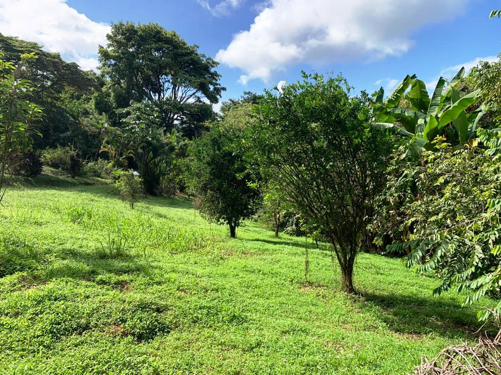 0 bed Land For Sale in Dominical, Puntarenas - thumb 8
