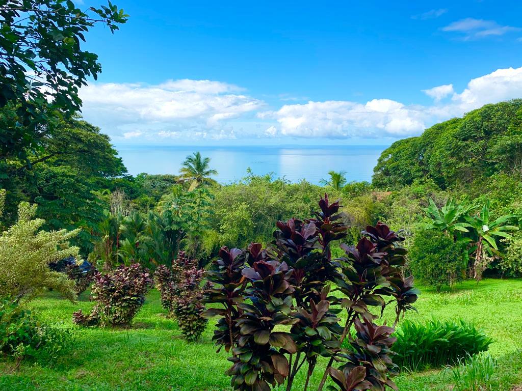 0 bed Land For Sale in Dominical, Puntarenas - thumb 5