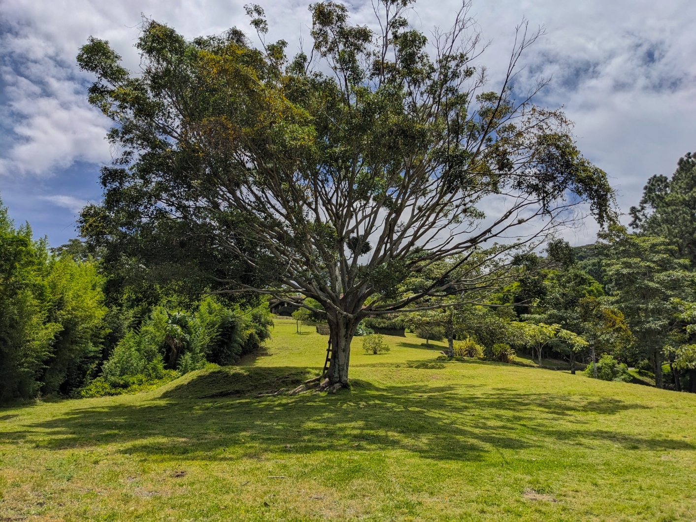 5 bed Single Family Homes For Sale in Escazu, San Jose - thumb 19