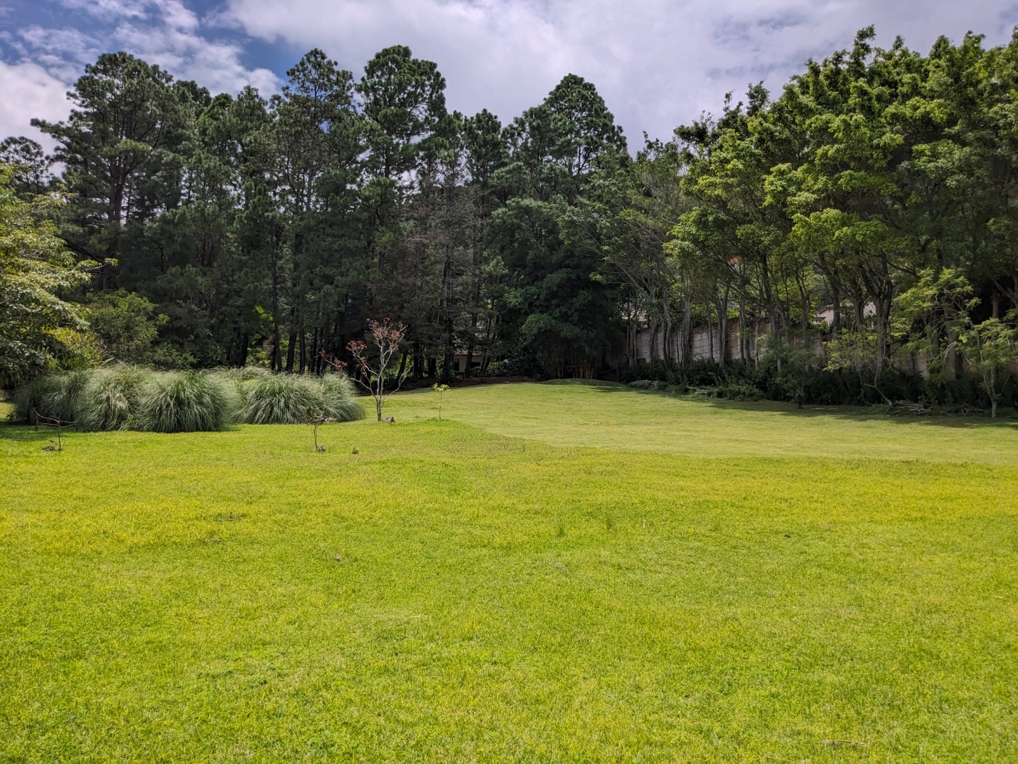 5 bed Single Family Homes For Sale in Escazu, San Jose - thumb 27