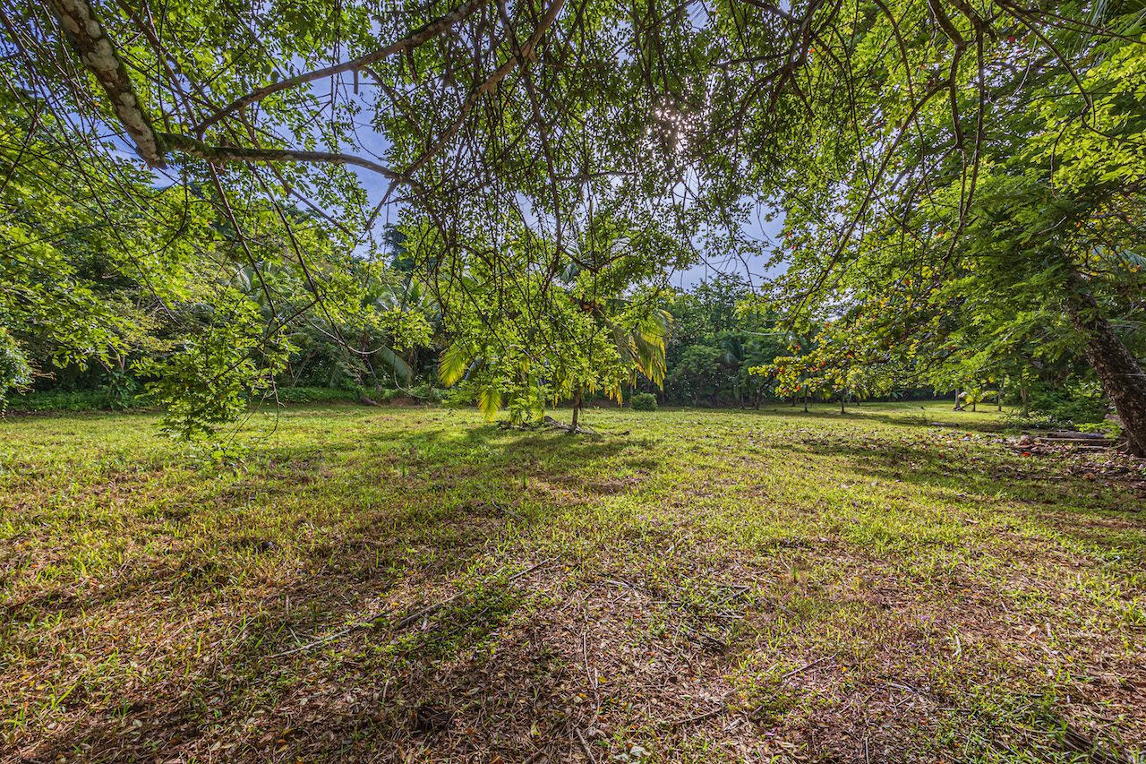 0 bed Land For Sale in Uvita, Puntarenas - thumb 25