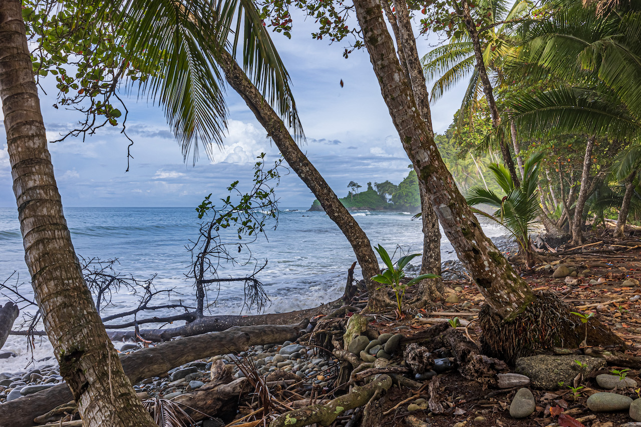 0 bed Land For Sale in Uvita, Puntarenas - thumb 16