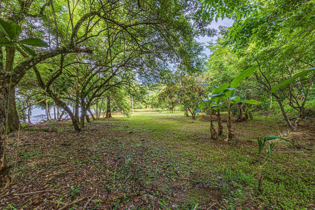 0 bed Land For Sale in Uvita, Puntarenas - thumb 21