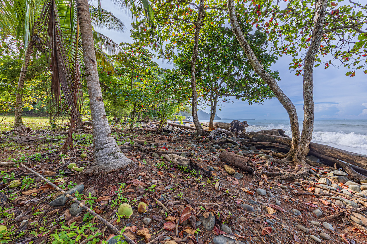 0 bed Land For Sale in Uvita, Puntarenas - thumb 19