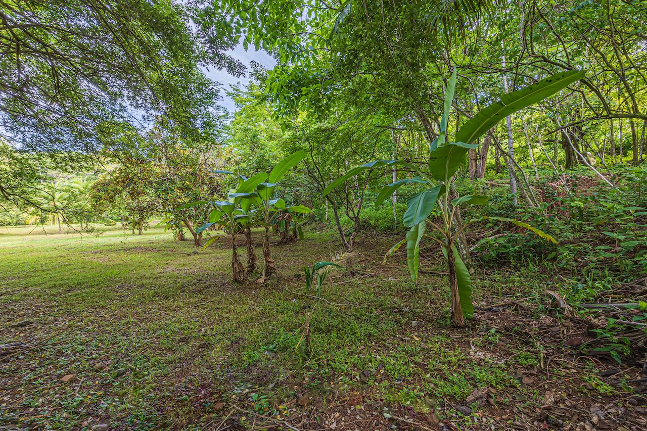0 bed Land For Sale in Uvita, Puntarenas - thumb 22