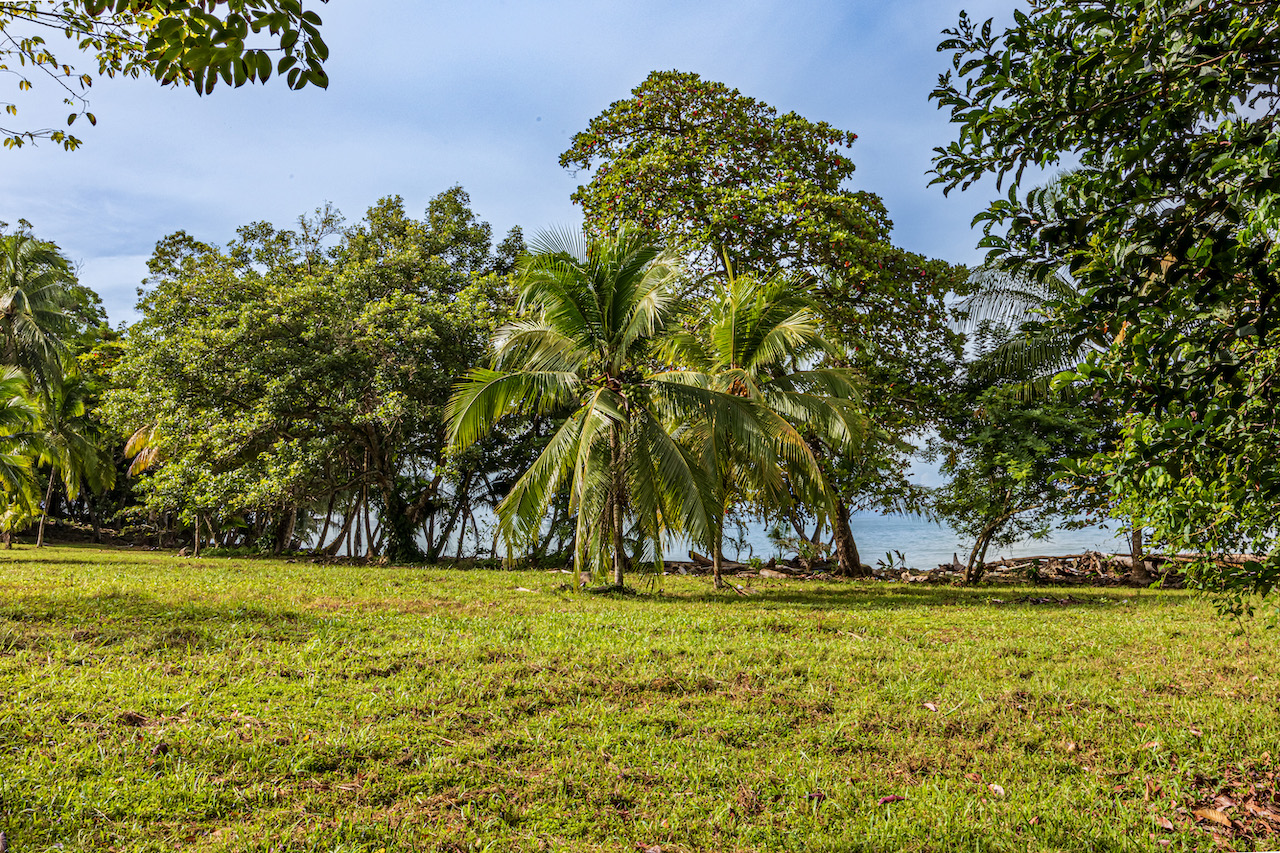 0 bed Land For Sale in Uvita, Puntarenas - thumb 23