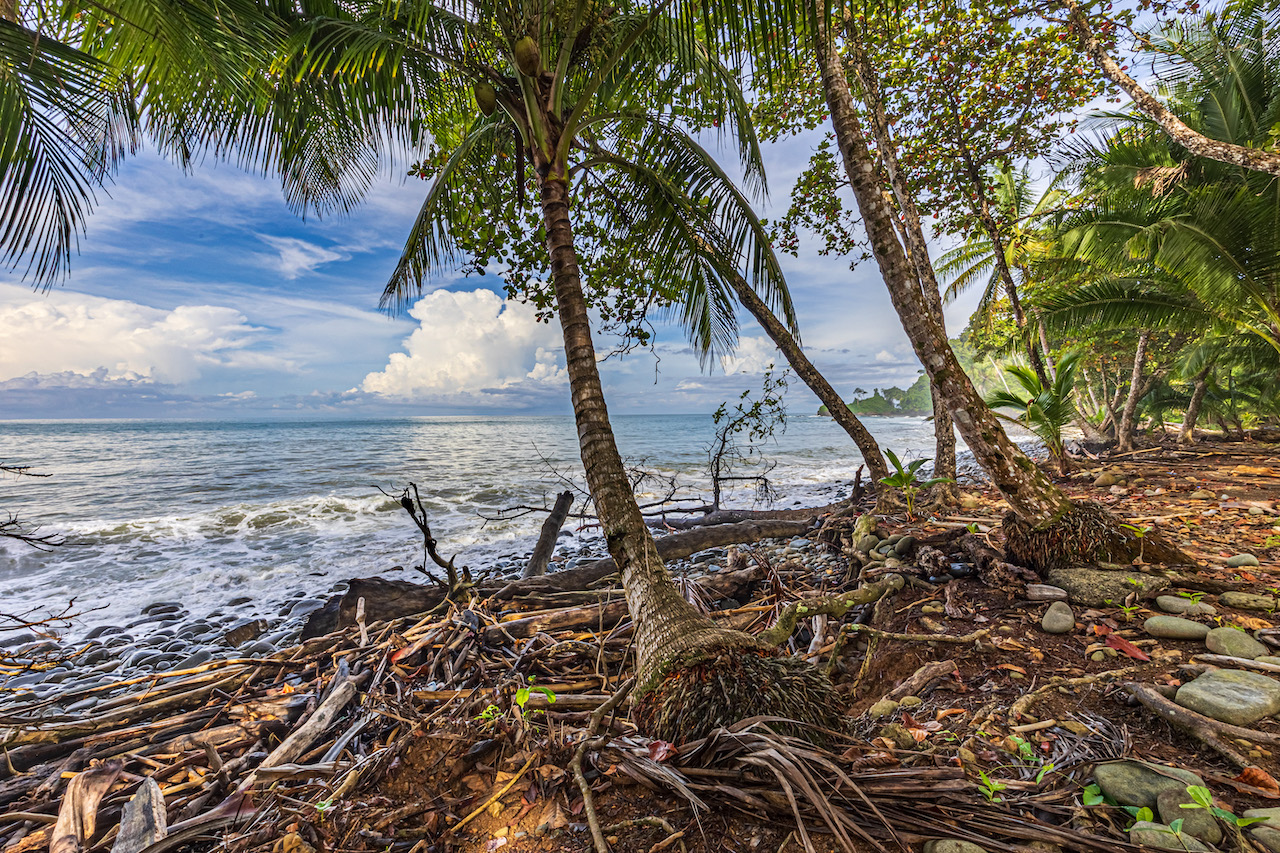 0 bed Land For Sale in Uvita, Puntarenas - thumb 17