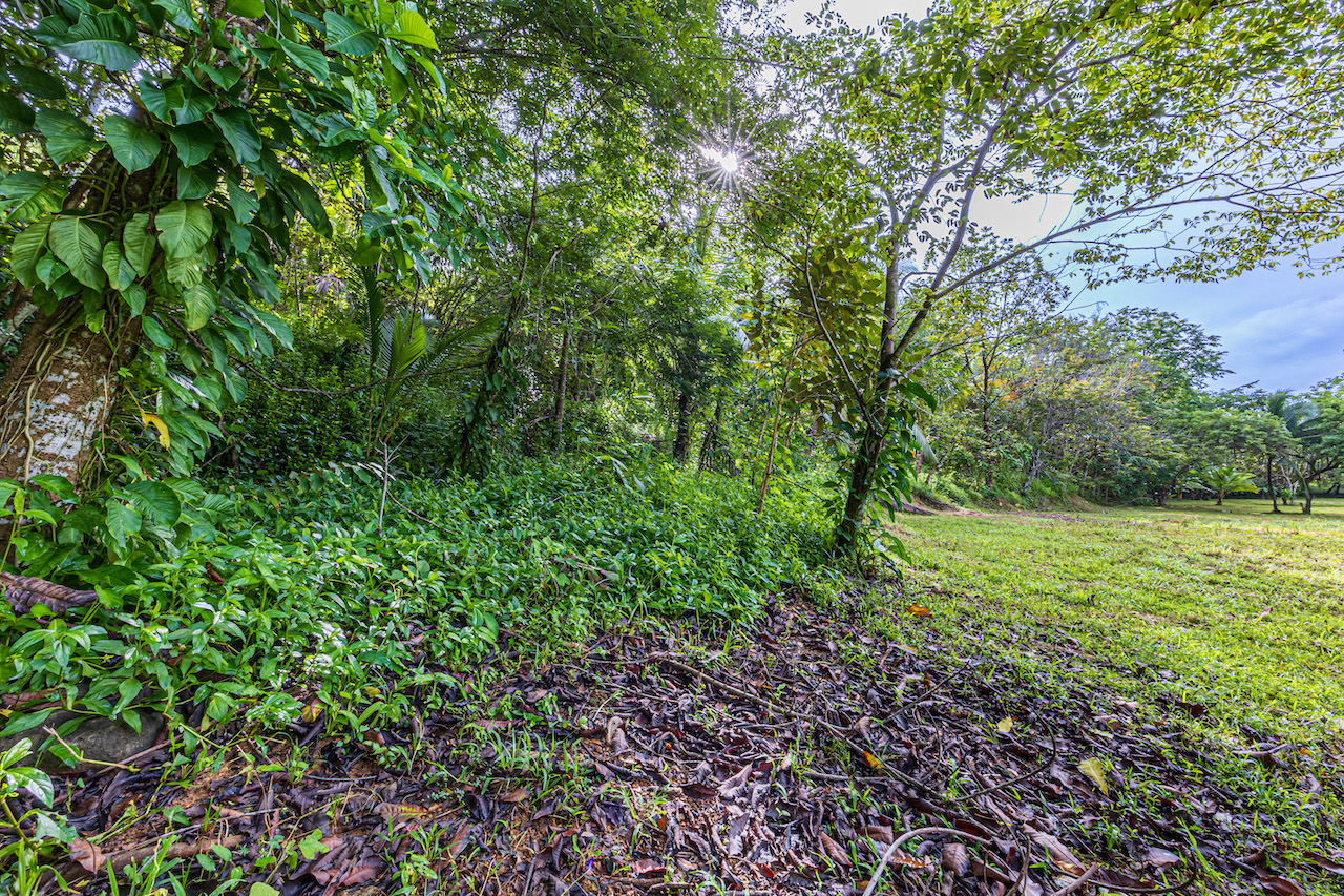 0 bed Land For Sale in Uvita, Puntarenas - thumb 27
