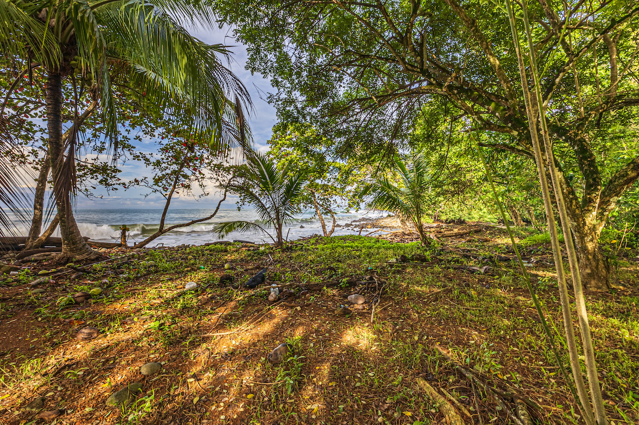 0 bed Land For Sale in Uvita, Puntarenas - thumb 3