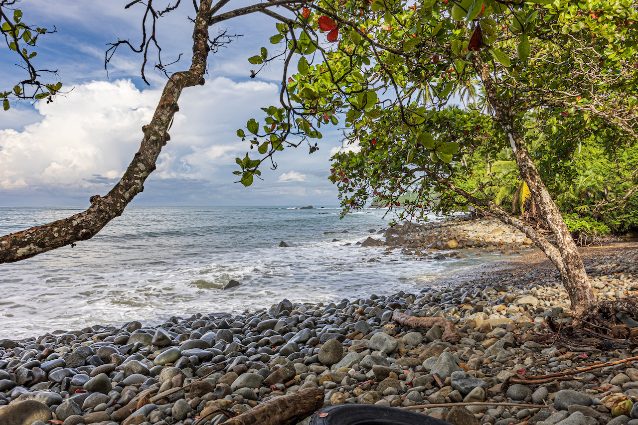 0 bed Land For Sale in Uvita, Puntarenas - thumb 13