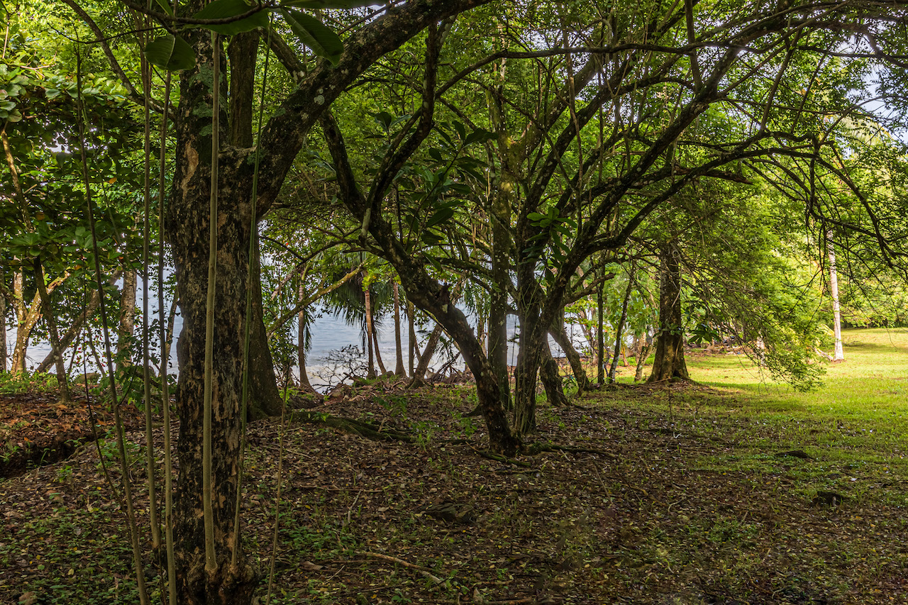 0 bed Land For Sale in Uvita, Puntarenas - thumb 20